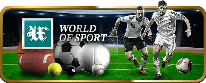 Hướng dẫn cá cược Đá Gà WM88 Casino